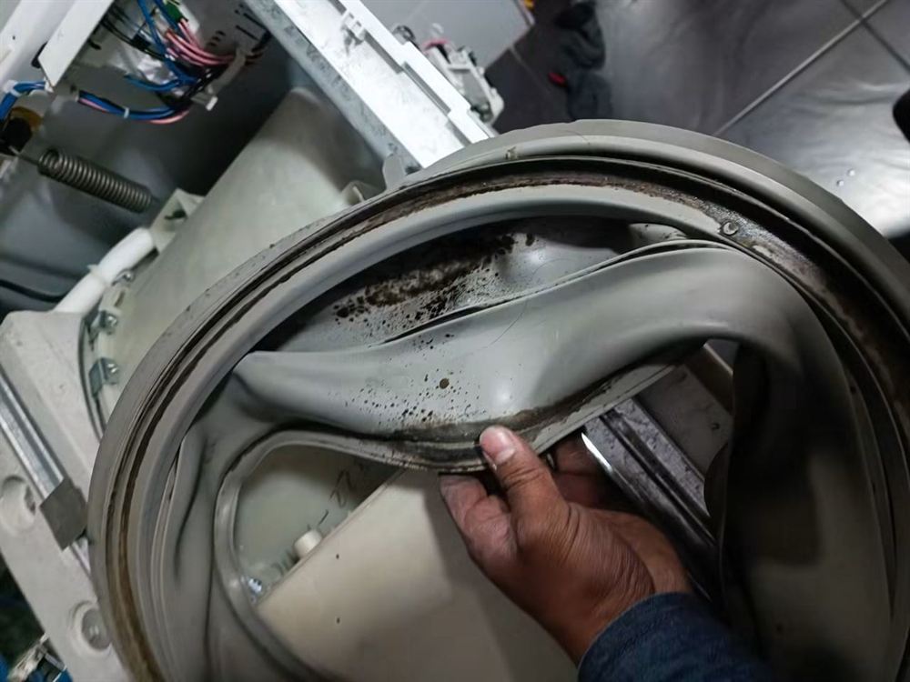Empaque de puerta de lavadora con hongos, antes de su reemplazo